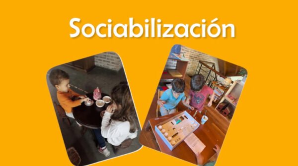 Guía completa para Homeschoolers - Imagen 4