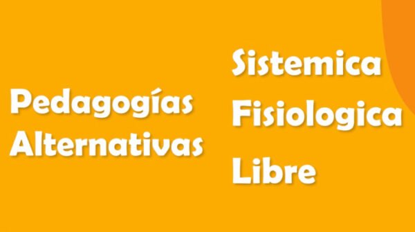 Guía completa para Homeschoolers - Imagen 5