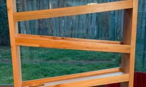 Patin de madera (PREVENTA)