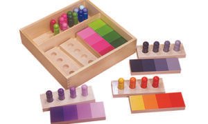 Clasificación por semejanza de color (PREVENTA)