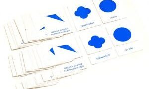 Tarjetas de Nomenclatura del Gabinete Geométrico (PREVENTA)