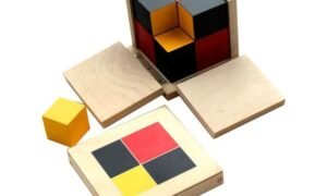 Cubo Binomial Algebraico (PREVENTA)