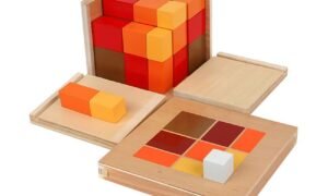 Cubo del Trinomio - Algebráico (PREVENTA)