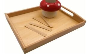 Bandeja mediana (PREVENTA)