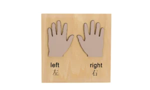 Manos: derecha e izquierda (PREVENTA)