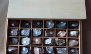 Muestra de minerales y hierro (PREVENTA)