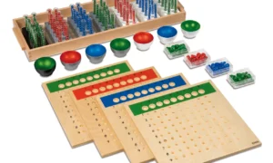 Combo: división larga con tubos de ensayo + juego de estampillas + curso gratuito