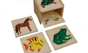 Gabinete con Rompecabezas de vertebrados (PREVENTA)