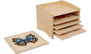 Gabinete con Rompecabezas de Insectos