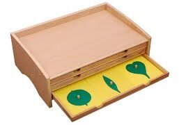 Gabinete de botánica (PREVENTA)