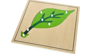 Rompecabezas (PREVENTA)