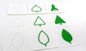 Tarjetas de hojas (PREVENTA)