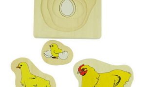 Desarrollo de Seres Vivos (PREVENTA)