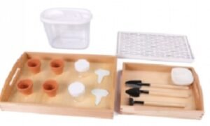 Actividad de siembra (PREVENTA)