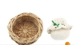 Actividad de sacudir el polvo (PREVENTA)