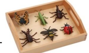 Lenguaje – Insectos con bandeja de madera (PREVENTA)