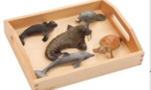 Lenguaje – Animales marinos con bandeja de madera (PREVENTA)