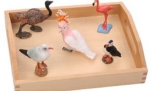 Lenguaje – Aves con bandeja de madera (PREVENTA)