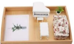 Lenguaje – Utensilios de la sala de estar con tarjetas (PREVENTA)