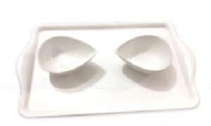 Actividad de trasvase de porotos (PREVENTA)