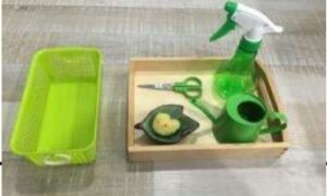 Bandeja de cuidado de las plantas (PREVENTA)