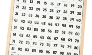 Cartilla de control del Tablero del 100 con tabla (PREVENTA)