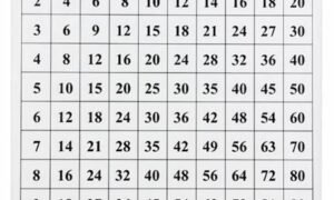 Cartilla de Control para el Tablero de Pitágoras (PREVENTA)